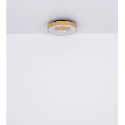 Globo - LED loftlampe dæmpbar LED/30W/230V + fjernbetjening