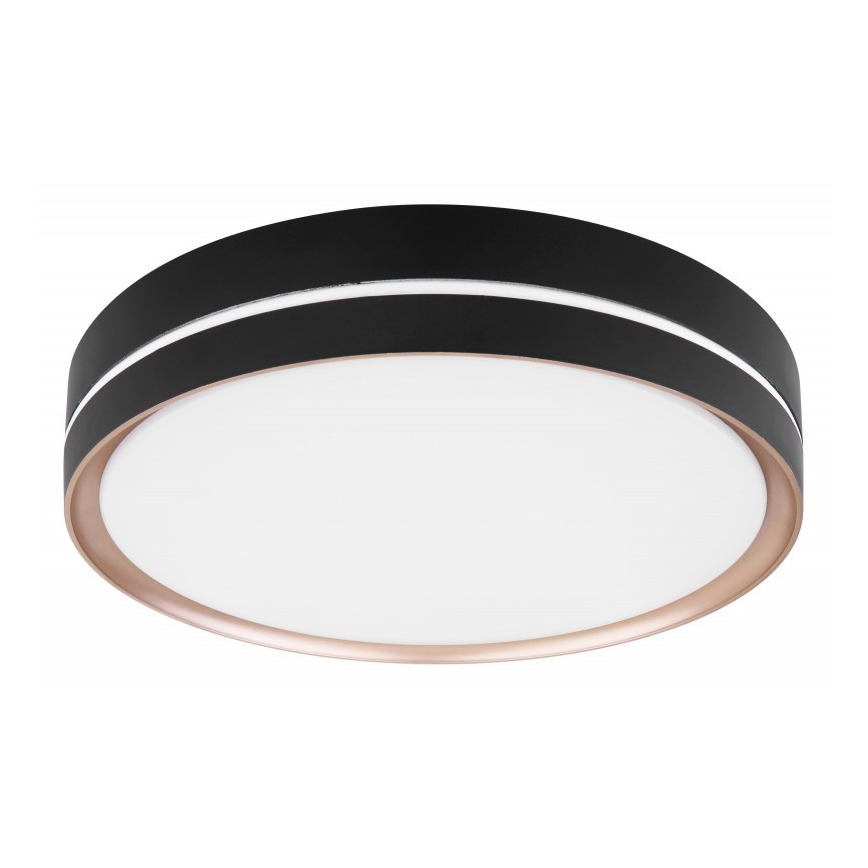 Globo - LED loftlampe dæmpbar LED/24W/230V + fjernbetjening