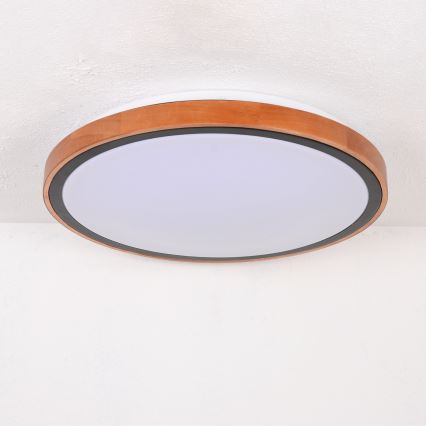 Globo - LED loftlampe LED/24W/230V 3000/4500/6000K diameter 43,7 cm