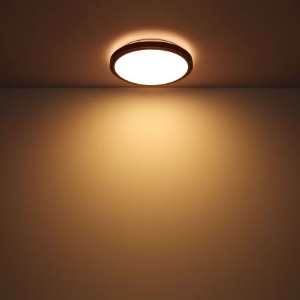 Globo - LED loftlampe LED/24W/230V 3000/4500/6000K diameter 43,7 cm