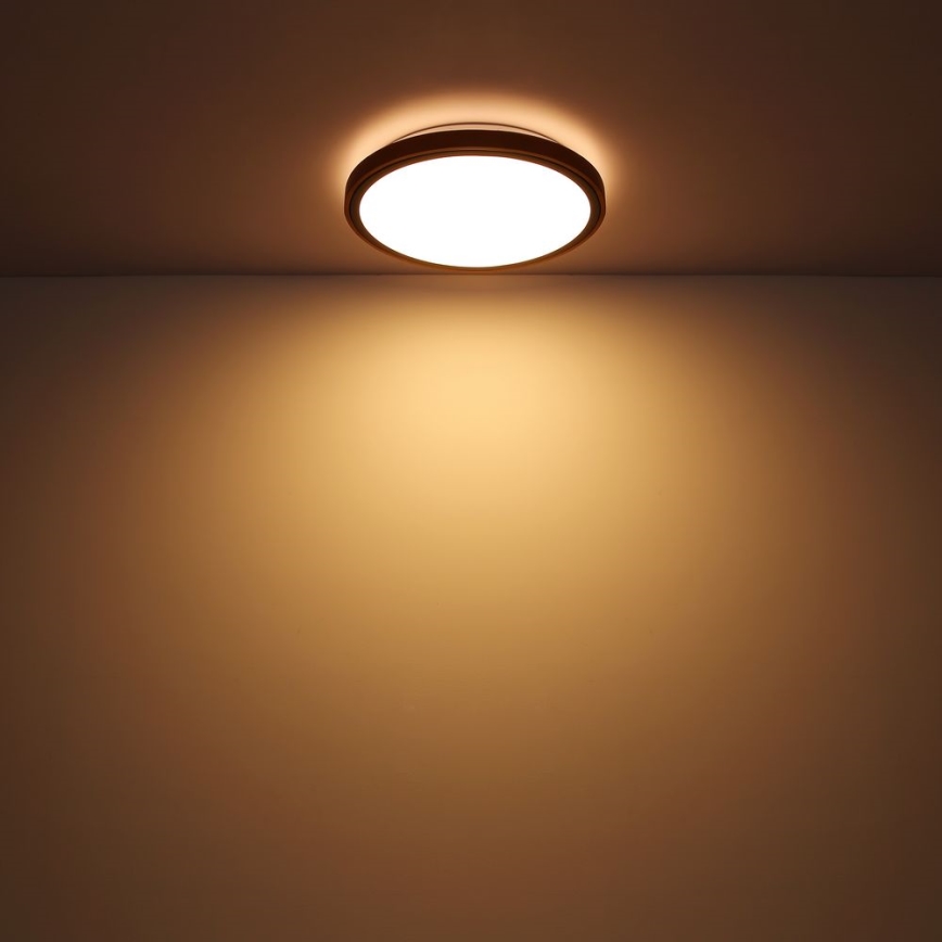 Globo - LED loftlampe LED/24W/230V 3000/4500/6000K diameter 43,7 cm