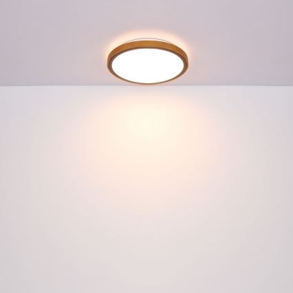 Globo - LED loftlampe LED/24W/230V 3000/4500/6000K diameter 43,7 cm