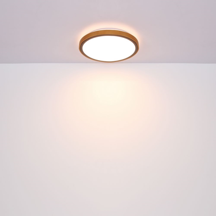 Globo - LED loftlampe LED/24W/230V 3000/4500/6000K diameter 43,7 cm