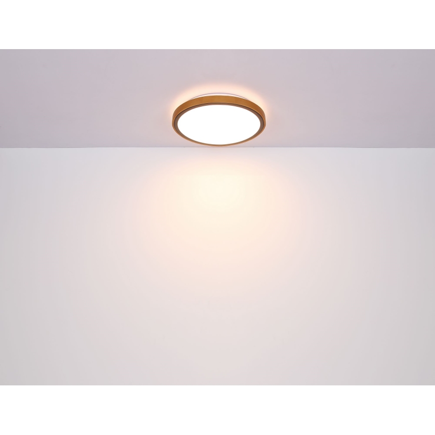 Globo - LED loftlampe LED/24W/230V 3000/4500/6000K diameter 42 cm