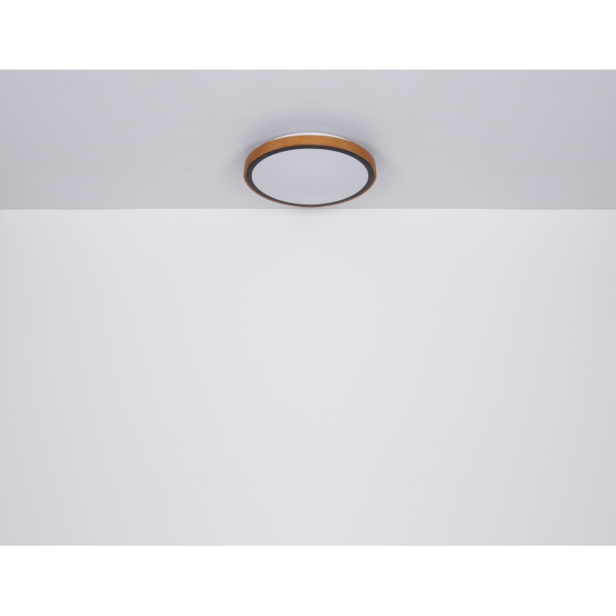 Globo - LED loftlampe LED/24W/230V 3000/4500/6000K diameter 42 cm