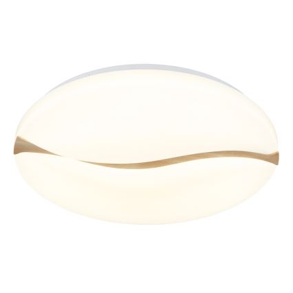 Globo - LED loftlampe LED/24W/230V 3000/4200/6000K diameter 33 cm