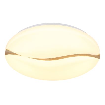 Globo - LED loftlampe LED/24W/230V 3000/4200/6000K diameter 33 cm