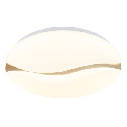 Globo - LED loftlampe LED/24W/230V 3000/4200/6000K diameter 39 cm