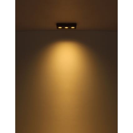 Globo - LED loftlampe LED/14W/230V 11,7x33,2 cm
