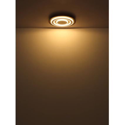 Globo - LED loftlampe LED/24W/230V 3000K diameter 32 cm antracit