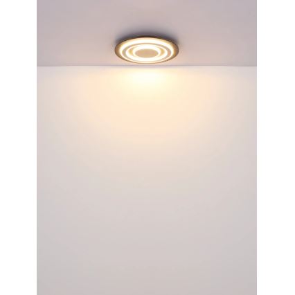 Globo - LED loftlampe LED/24W/230V 3000K diameter 32 cm antracit