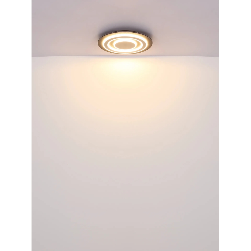 Globo - LED loftlampe LED/24W/230V 3000K diameter 32 cm antracit