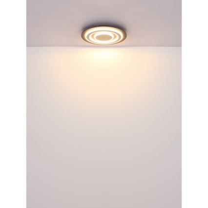 Globo - LED loftlampe LED/24W/230V 3000K diameter 32 cm