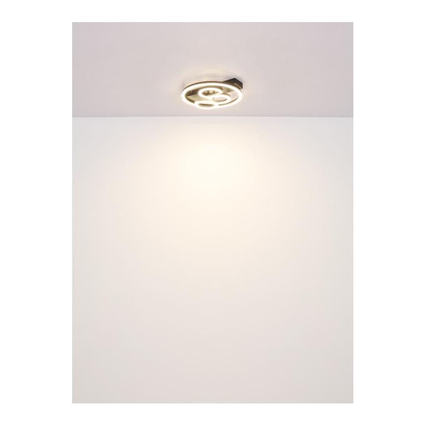 Globo - LED loftlampe dæmpbar LED/40W/230V 2700-6500K diameter 35x33 cm + fjernbetjening