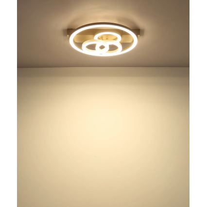 Globo - LED-dæmpbar loftlampe LED/40W/230V 2700-6500K 35x33 cm beige + fjernbetjening