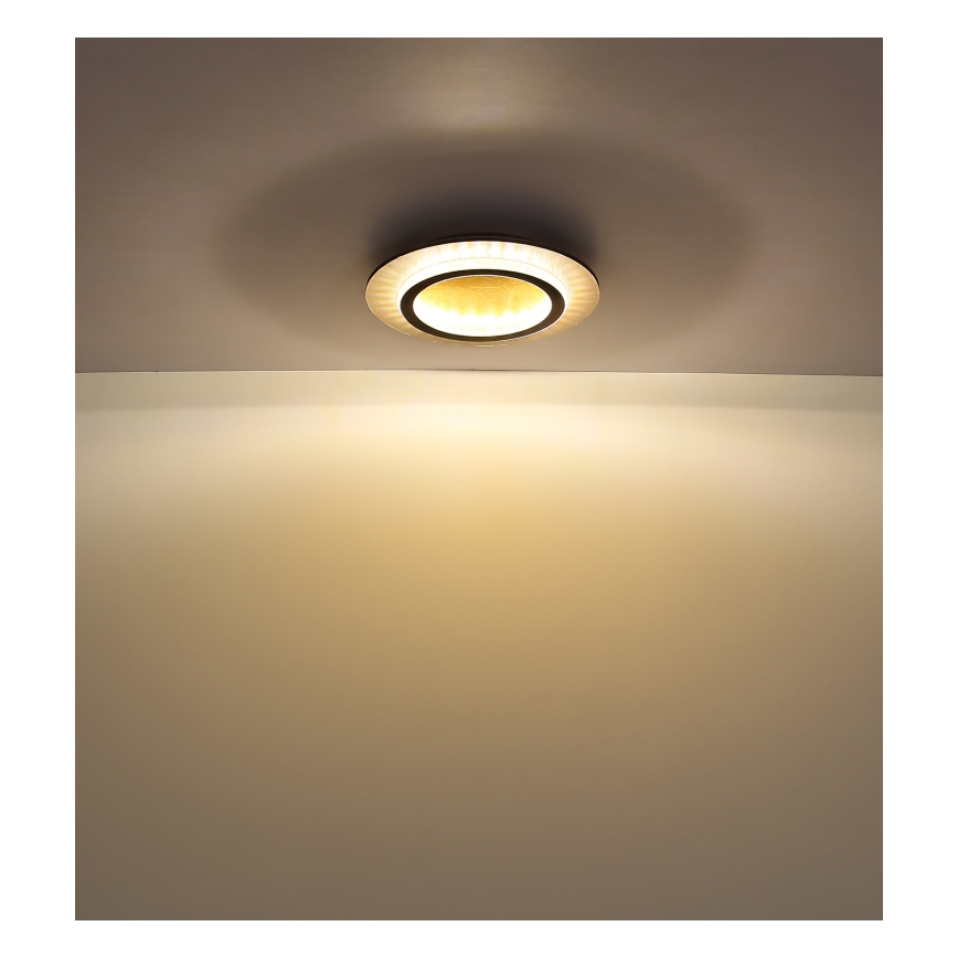 Globo - LED-loftlampe LED/24W/230V 3000/4000/6500K Ø 35 cm sort
