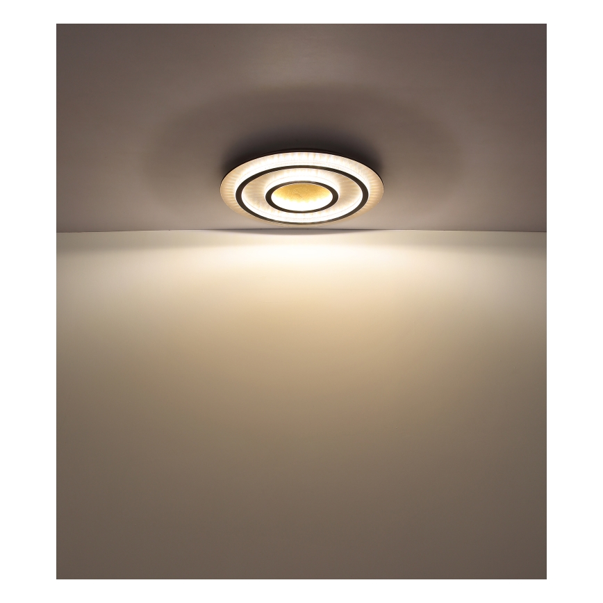 Globo - Dæmpbar LED-loftlampe LED/60W/230V 3000-6500K Ø 55 cm sort + fjernbetjening