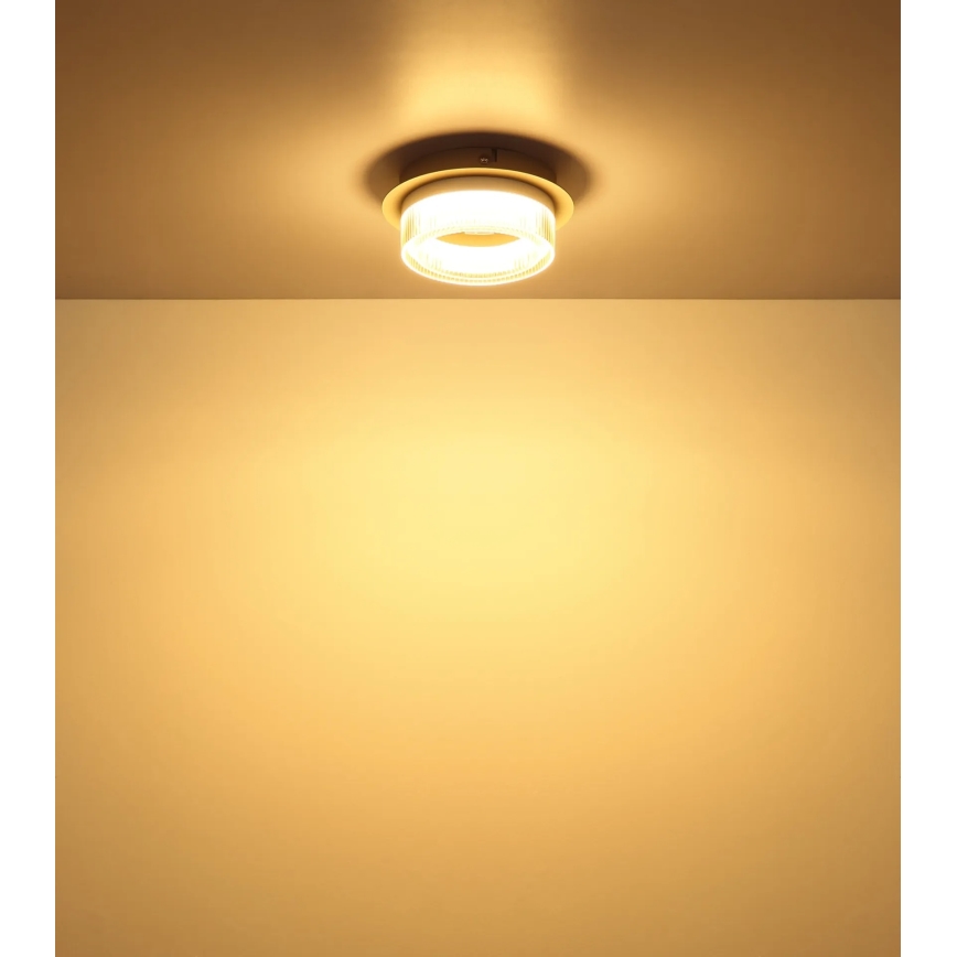 Globo - LED loftlampe LED/8W/230V 3000K Ø 16 cm