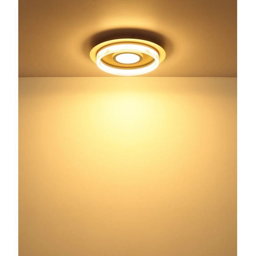 Globo - LED loftlampe LED/24W/230V 3000K Ø 40 cm