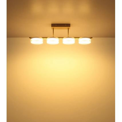 Globo - LED overflademonteret loftlampe LED/24W/230V 3000K