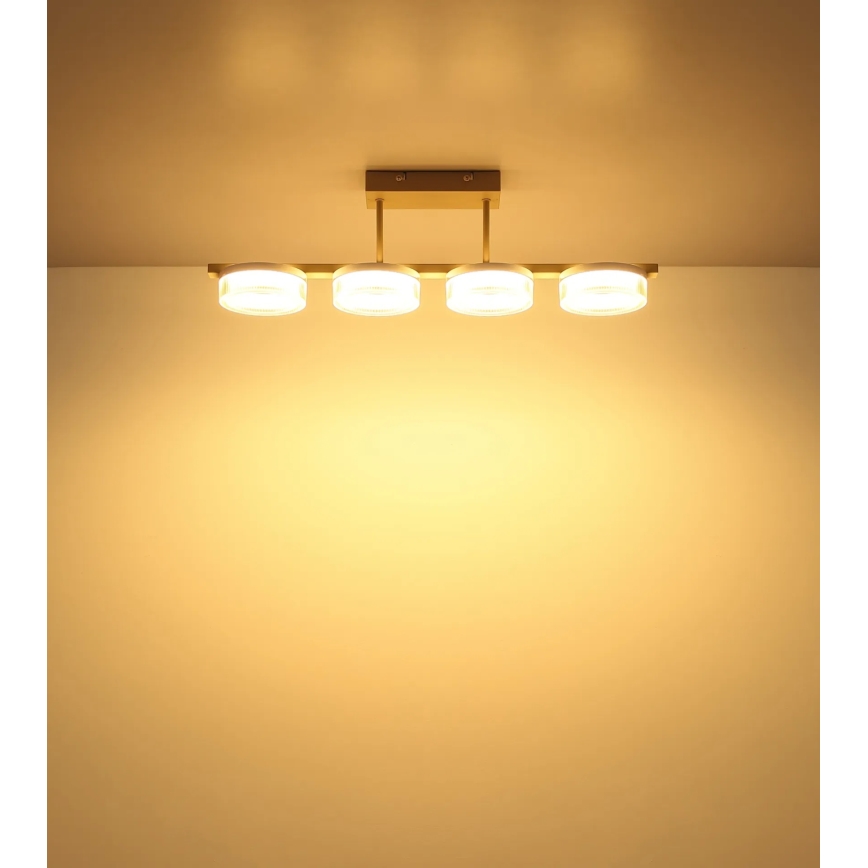 Globo - LED overflademonteret loftlampe LED/24W/230V 3000K