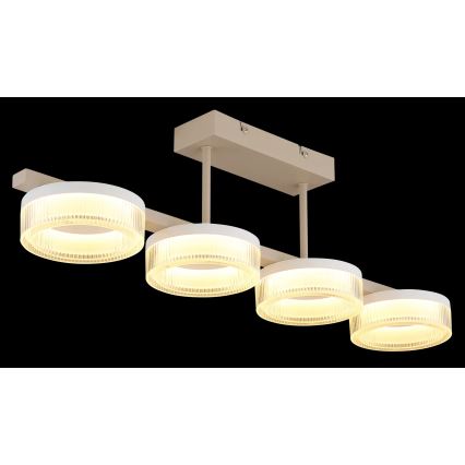 Globo - LED overflademonteret loftlampe LED/24W/230V 3000K