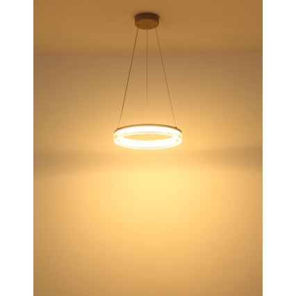 Globo - LED-pendel med kabel LED/16W/230V 3000K