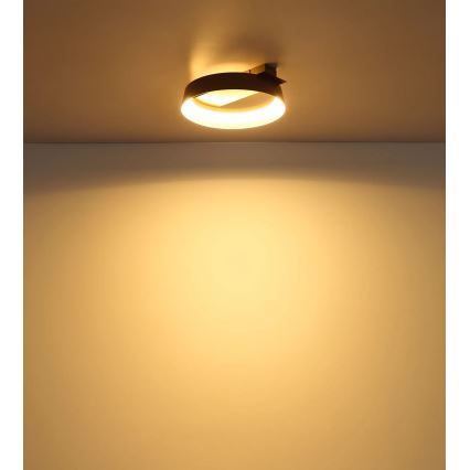 Globo - LED-loftlampe LED/12W/230V 3000K 26x25 cm