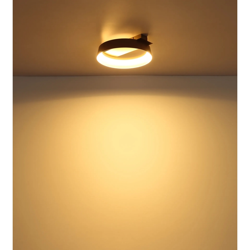 Globo - LED-loftlampe LED/12W/230V 3000K 26x25 cm