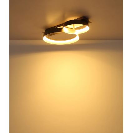 Globo - LED loftlampe LED/24W/230V 3000K 50x35 cm