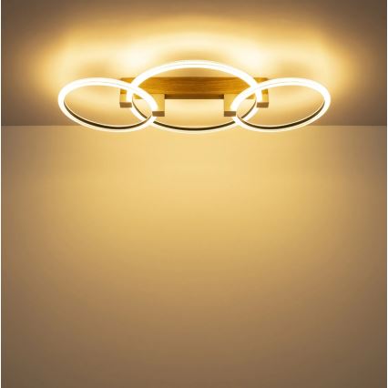 Globo - LED loftlampe LED/40W/230V 3000K 76,1x38 cm brun