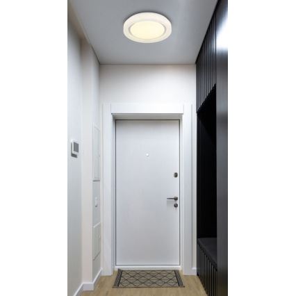 Globo - LED loftlampe LED/24W/230V 4000K diameter 38 cm