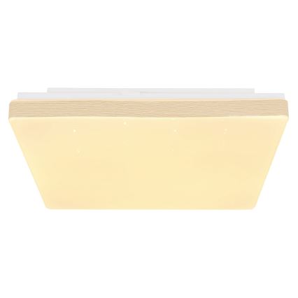 Globo - LED loftlampe LED/12W/230V