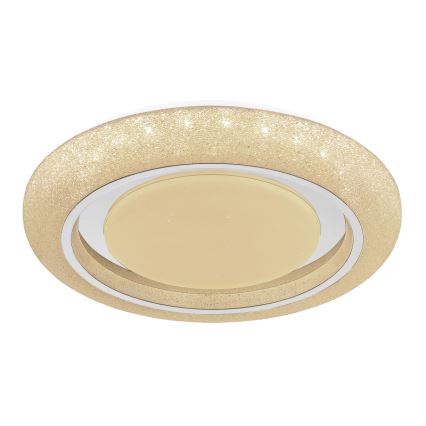 Globo 483111-40 - LED loftlampe RADA LED/40W/230V 2700/4200/6500K diameter 49 cm