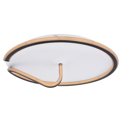 Globo 48439-50 - LED loftlampe dæmpbar RODAN LED/50W/230V 3000-6000K + fjernbetjening