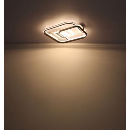 Globo 48459-48 - Dæmpbar LED-loftlampe ANI LED/48W/230V 2700-6000K 48x52 cm + fjernbetjening