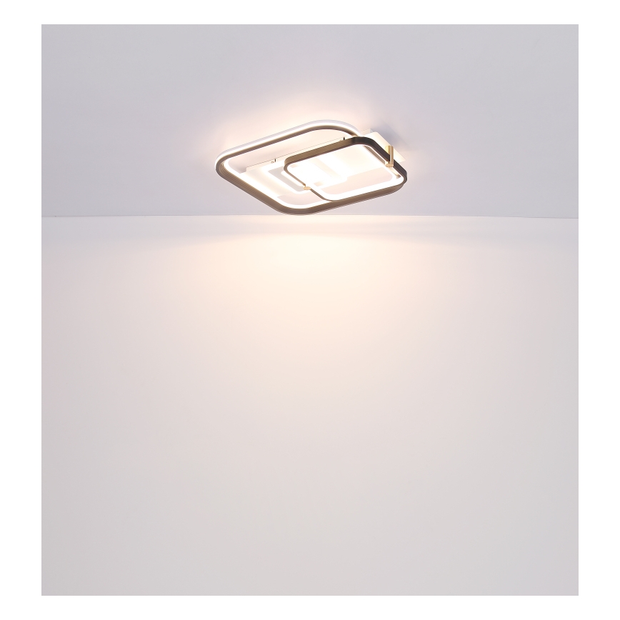 Globo 48459-48 - Dæmpbar LED-loftlampe ANI LED/48W/230V 2700-6000K 48x52 cm + fjernbetjening