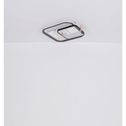 Globo 48459-48 - Dæmpbar LED-loftlampe ANI LED/48W/230V 2700-6000K 48x52 cm + fjernbetjening