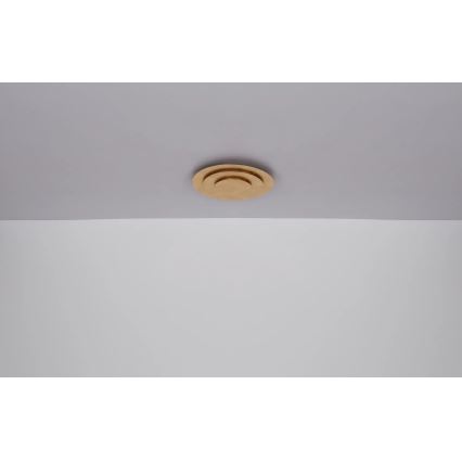 Globo - LED-loftlampe, 40 W, 230 V, 3000 K, Ø 49 cm, guldfarvet
