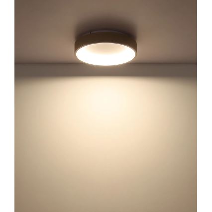 Globo - Dæmpbar LED-loftlampe LED/36W/230V 2700-6000K Ø 38 cm + fjernbetjening