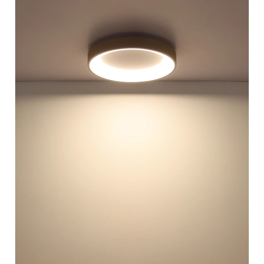 Globo - dæmpbar LED-loftlampe LED/48W/230V 2700–6000K Ø 50 cm + fjernbetjening