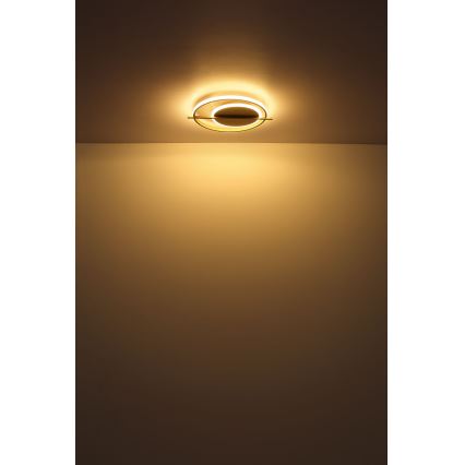 Globo - LED loftlampe LED/36W/230V