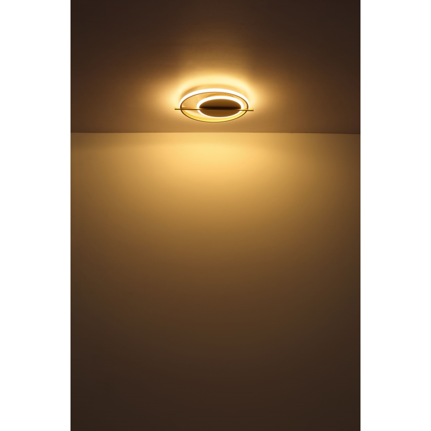 Globo - LED loftlampe LED/36W/230V