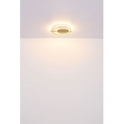 Globo - LED loftlampe LED/36W/230V