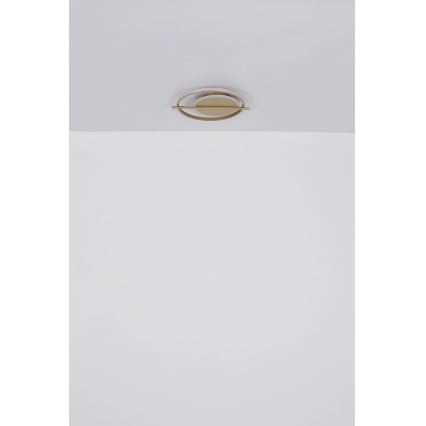 Globo - LED loftlampe LED/36W/230V