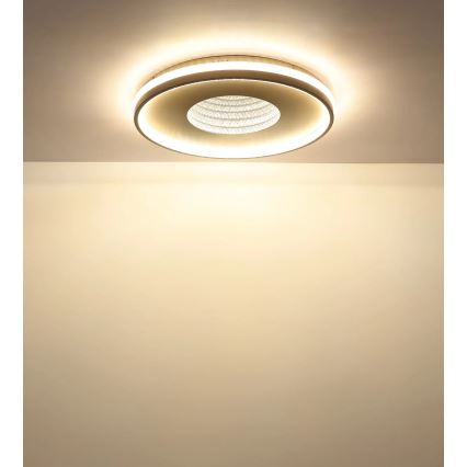 Globo - LED Dæmpbar loftlampe LED/40W/230V 2700-6500K Ø 50,5 cm + fjernbetjening