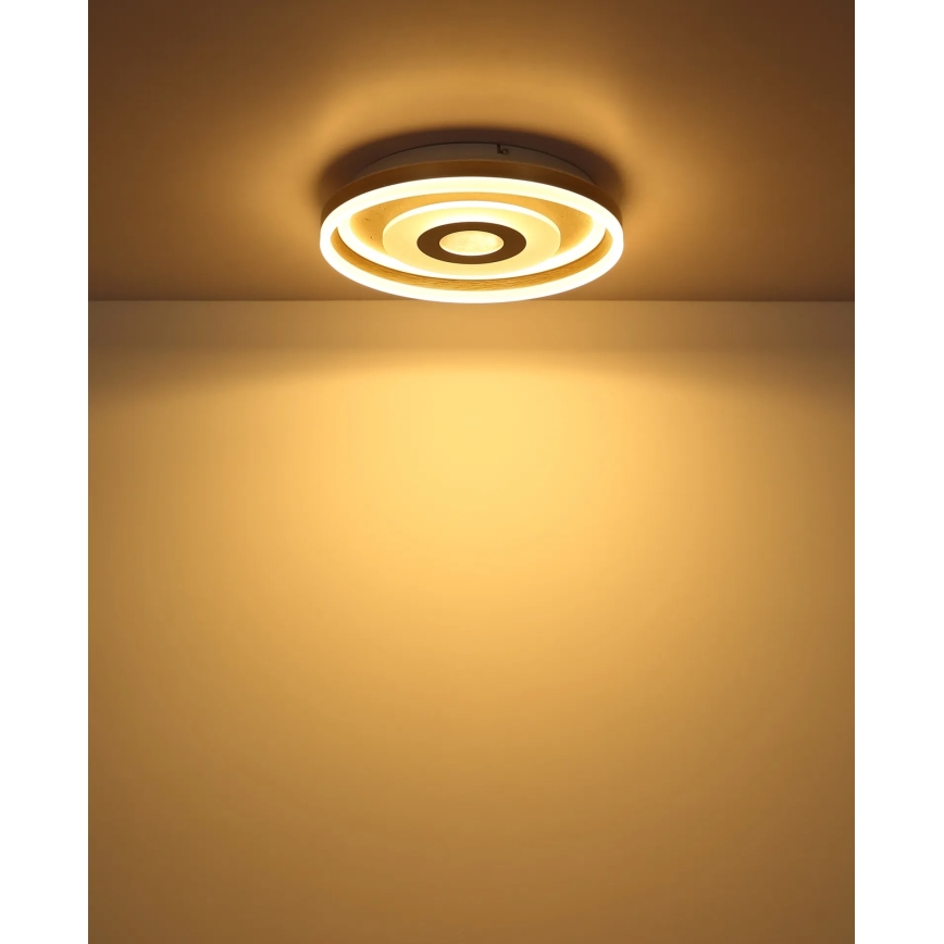 Globo – LED-loftlampe, 24 W, 230 V, 3000 K, Ø 40 cm