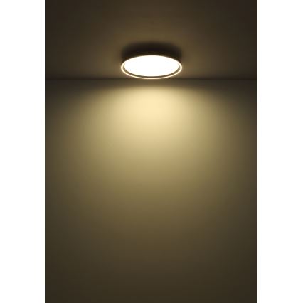Globo - LED loftlampe dæmpbar LED/48W/230V 2700-6000K + fjernbetjening diameter 50 cm