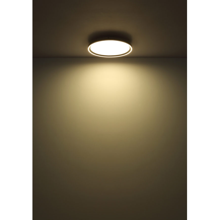 Globo - LED loftlampe dæmpbar LED/48W/230V 2700-6000K + fjernbetjening diameter 50 cm