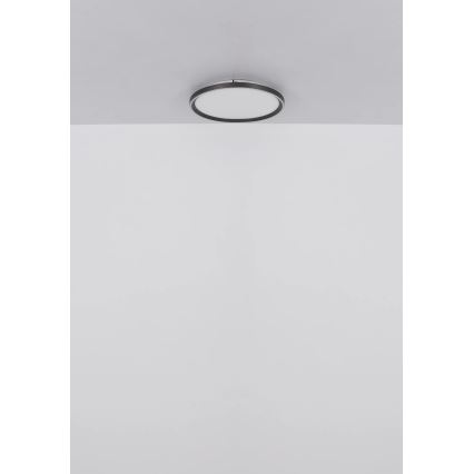 Globo - LED loftlampe dæmpbar LED/48W/230V 2700-6000K + fjernbetjening diameter 50 cm